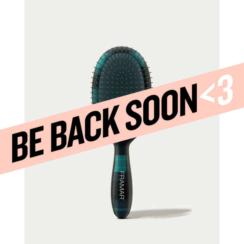 framar plaid hair day blair brush