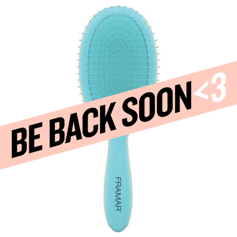 framar baecation aqua detangle brush