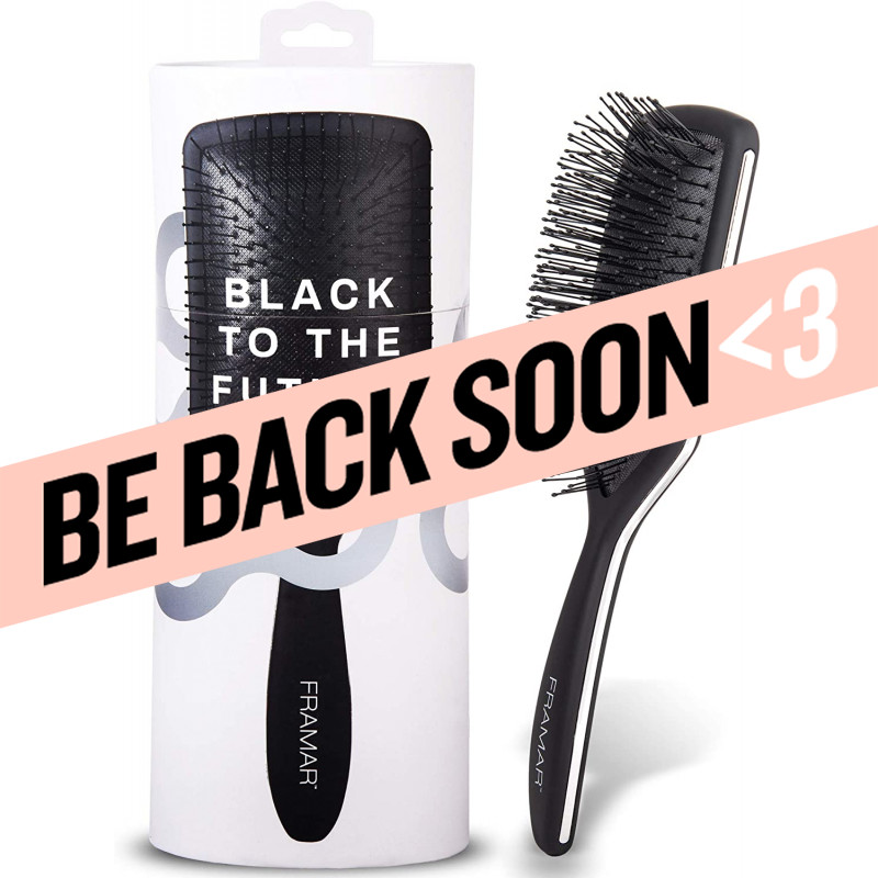 framar black to the future paddle brush