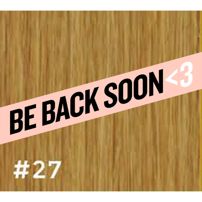 gbb clip-in hair extensions #27 18