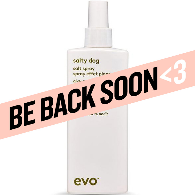 evo salty dog salt spray 200ml