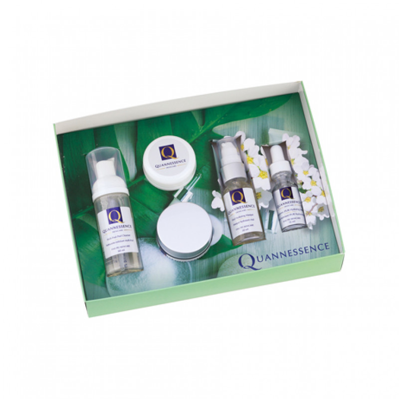 quannessence facial spa in a box kit