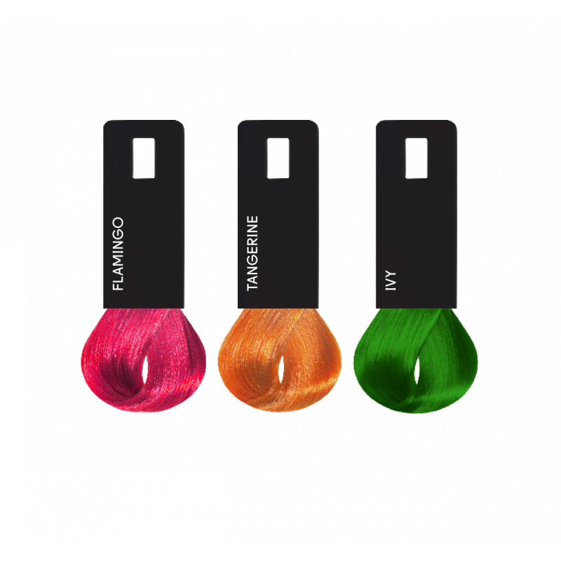 fab pro mixologist menu update 2024