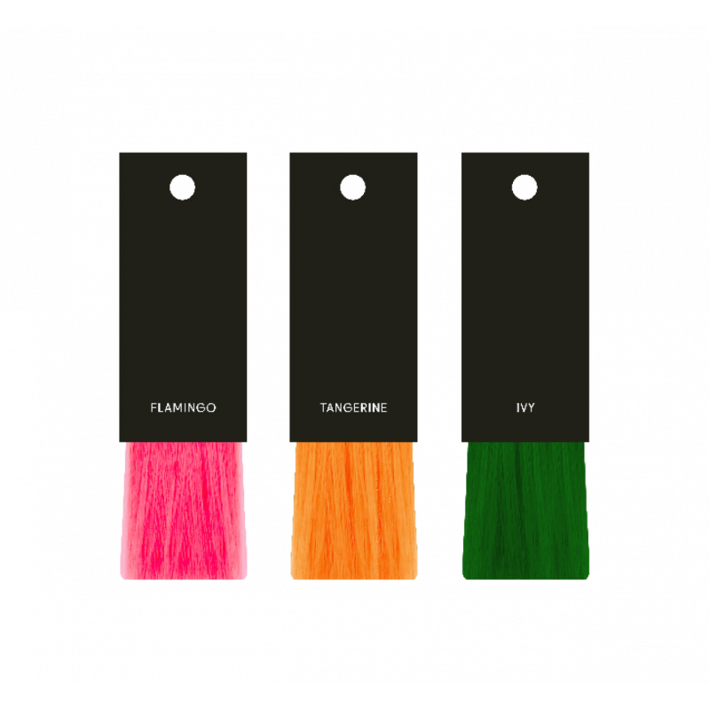 evo staino swatch fan update kit 2024