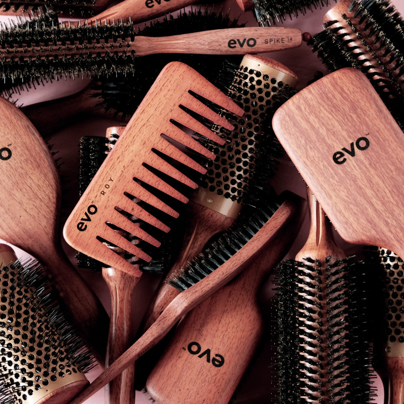 evo small brush intro 2024