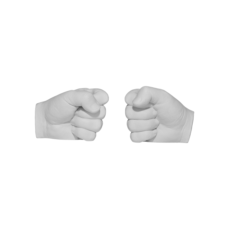 evo fist bump book ends
