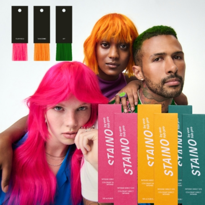 new staino intro offer 1