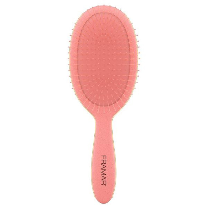 framar baecation coral detangle brush 