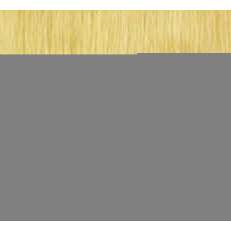 gbb hidden hair extensions #22 18