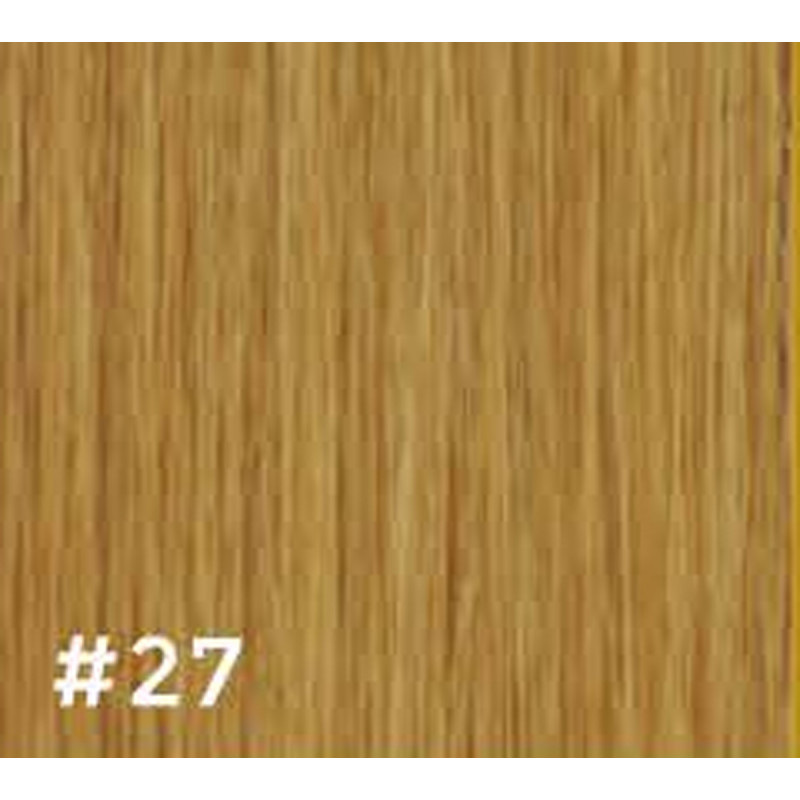 gbb double loop hair extensions #27 18-20