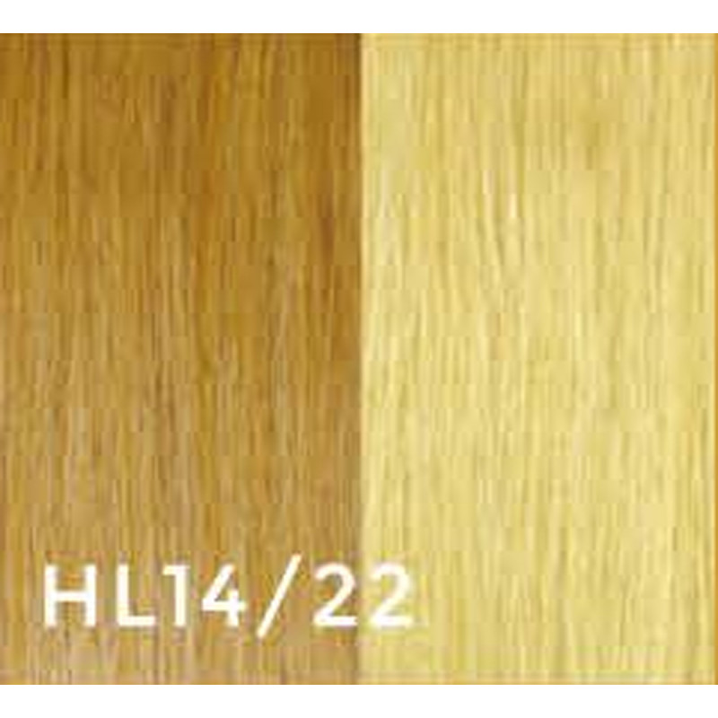 gbb clip-in hair extensions #14/22 14