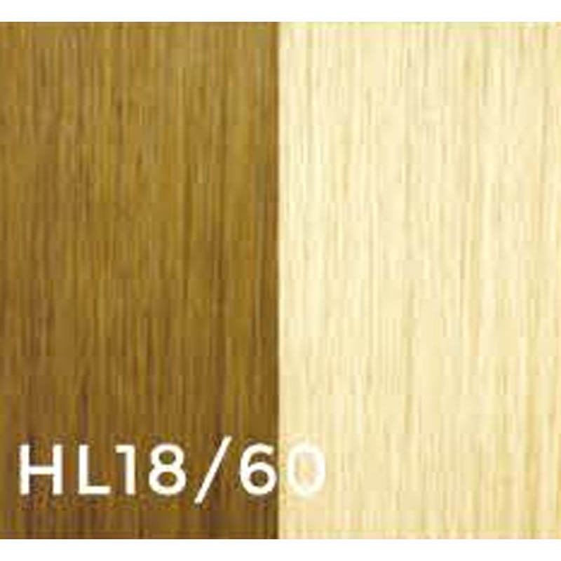 gbb clip-in hair extensions #18/60 14