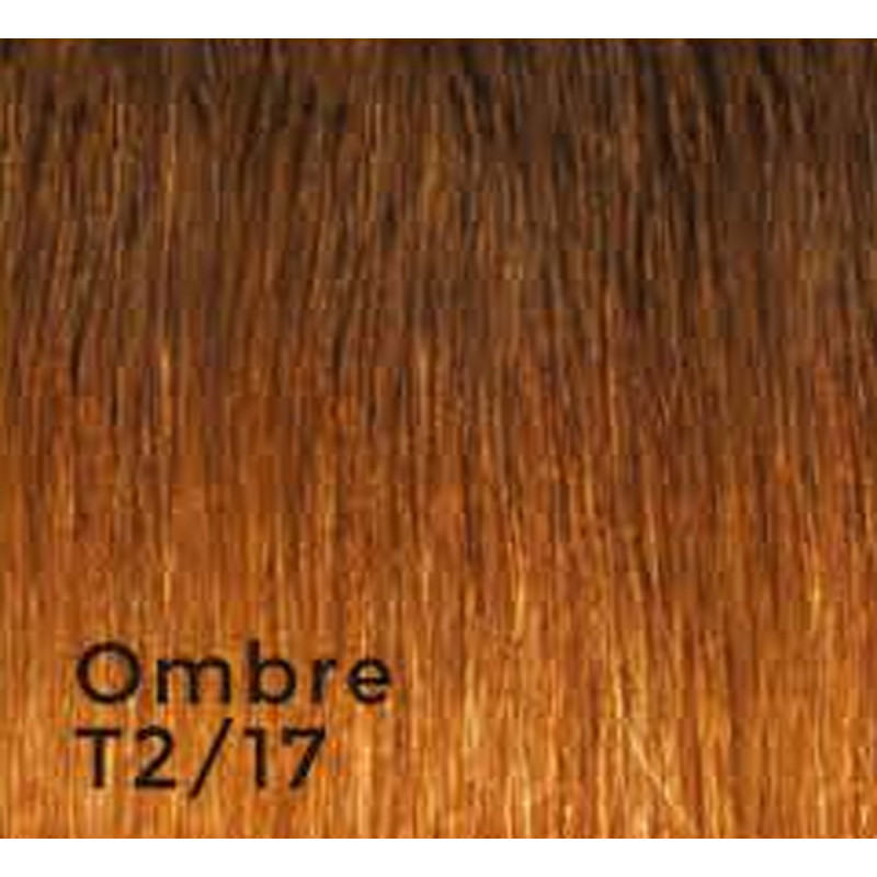 gbb ombre double tape hair extensions t2/17 20
