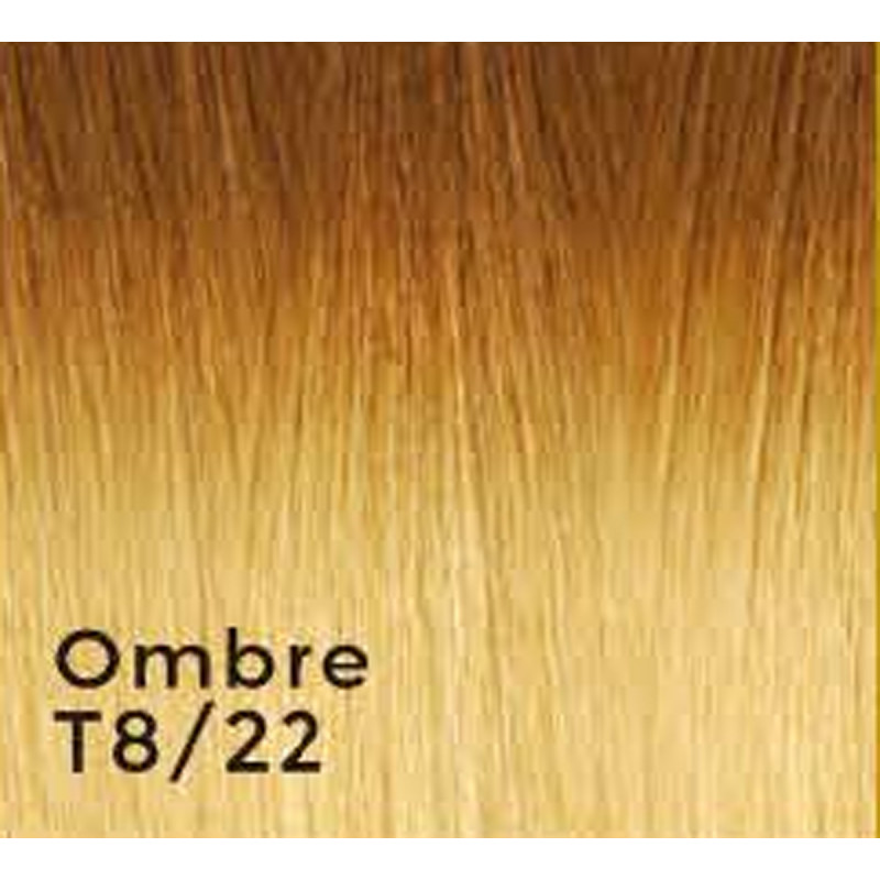 gbb ombre i-tip hair extensions t8/22 20