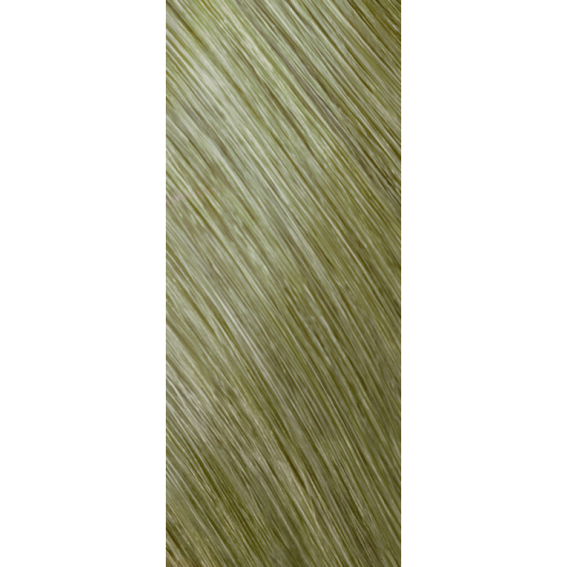 colorance 10ba smokey blonde tube 60ml