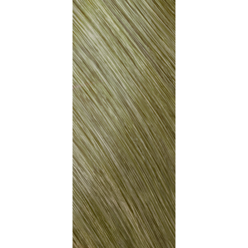 topchic @elum naturals 9n@bs very light blonde beige silver tube 60ml