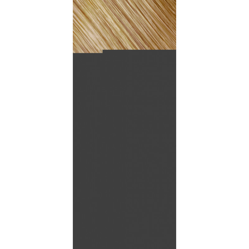 topchic 8g gold blonde canister 250ml