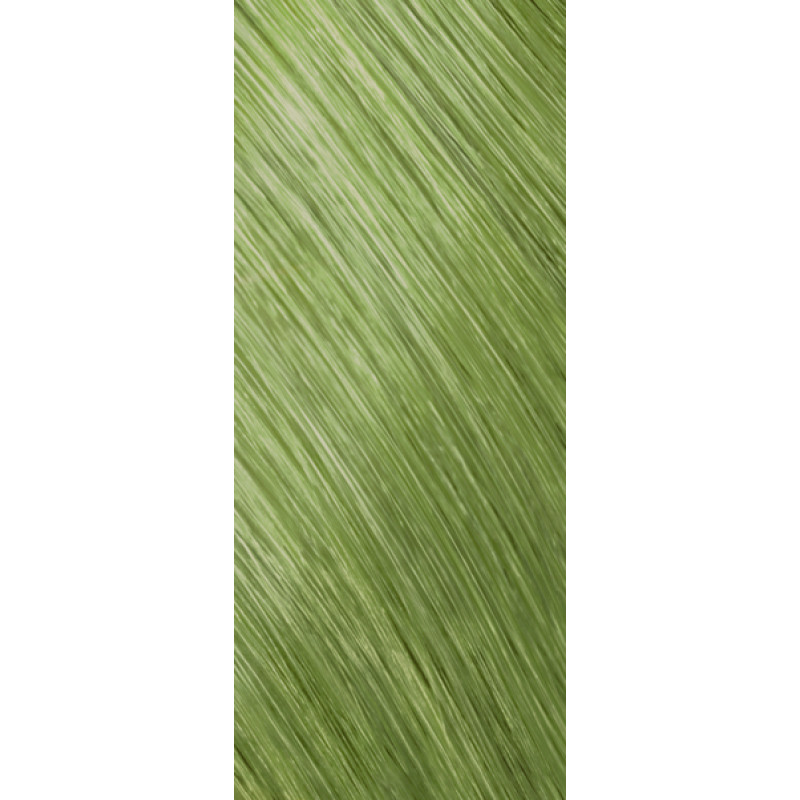 colorance 10 beige mint tube 60ml