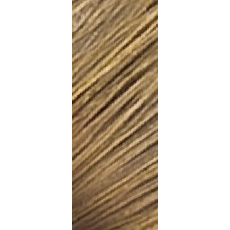 colorance soft color foam 9gb sahara blonde extra light beige 125ml