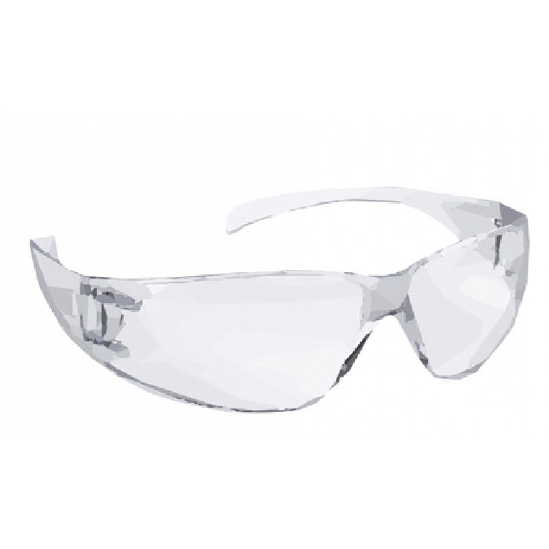 safety glasses clear 1 piece