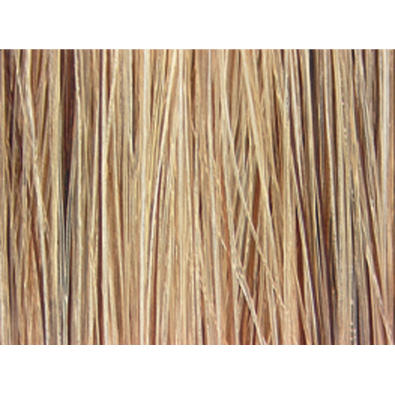 redken color fusion 9gb gold beige 60ml