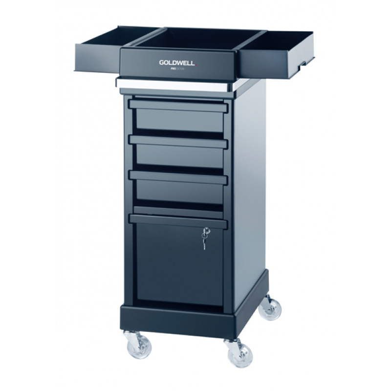 goldwell premium color service car