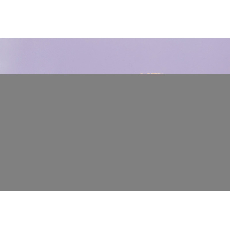 pony k tip brandy 18 25g