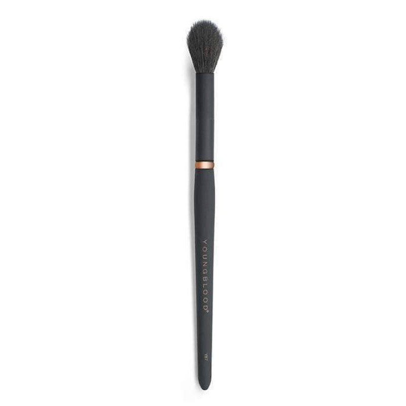 youngblood highlight luxe brush yb7