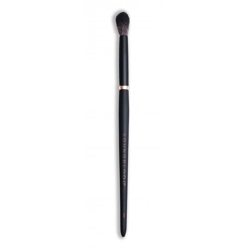 youngblood tapered blending brush yb8
