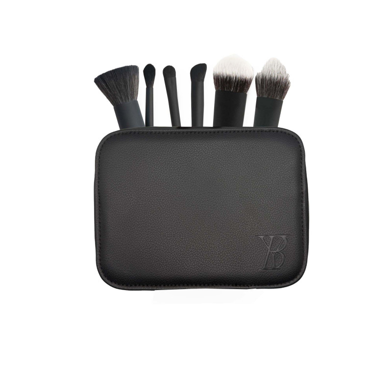 youngblood luxury travel brush set
