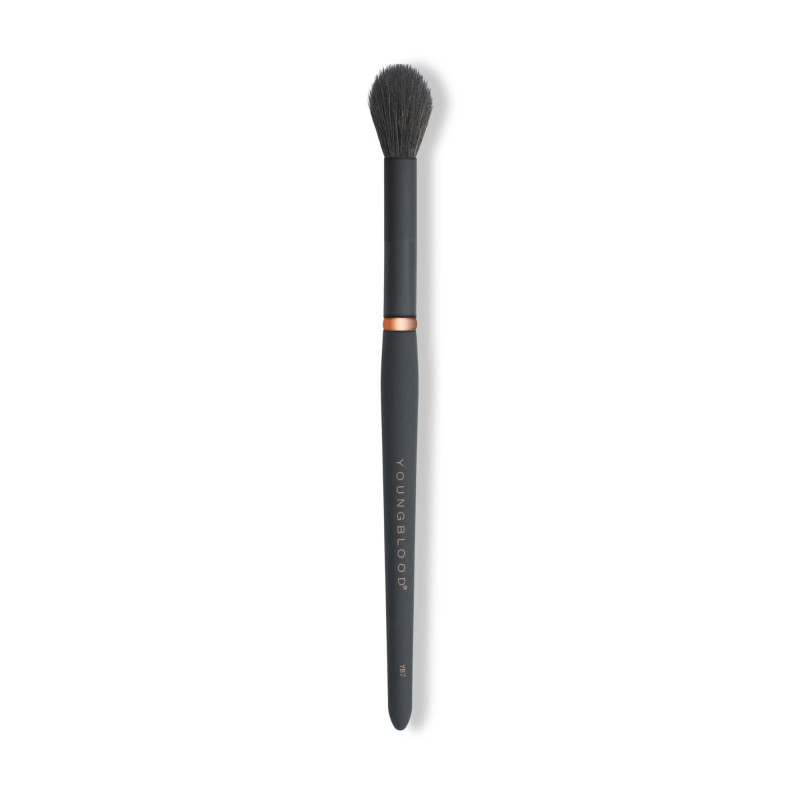 youngblood highlight luxe brush yb7