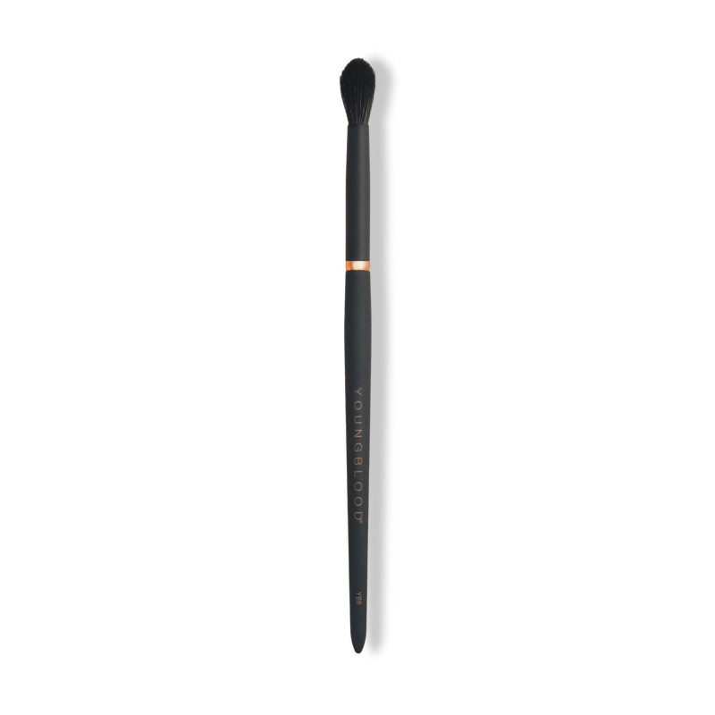 youngblood tapered blending brush yb8