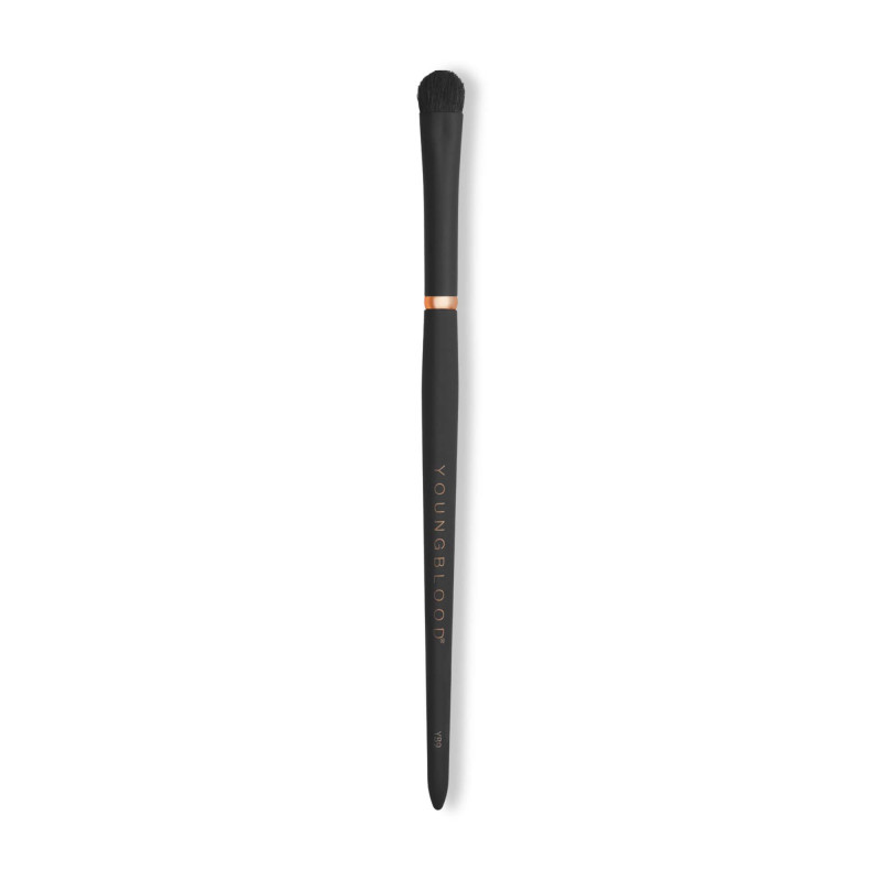 youngblood all-over shadow brush yb9